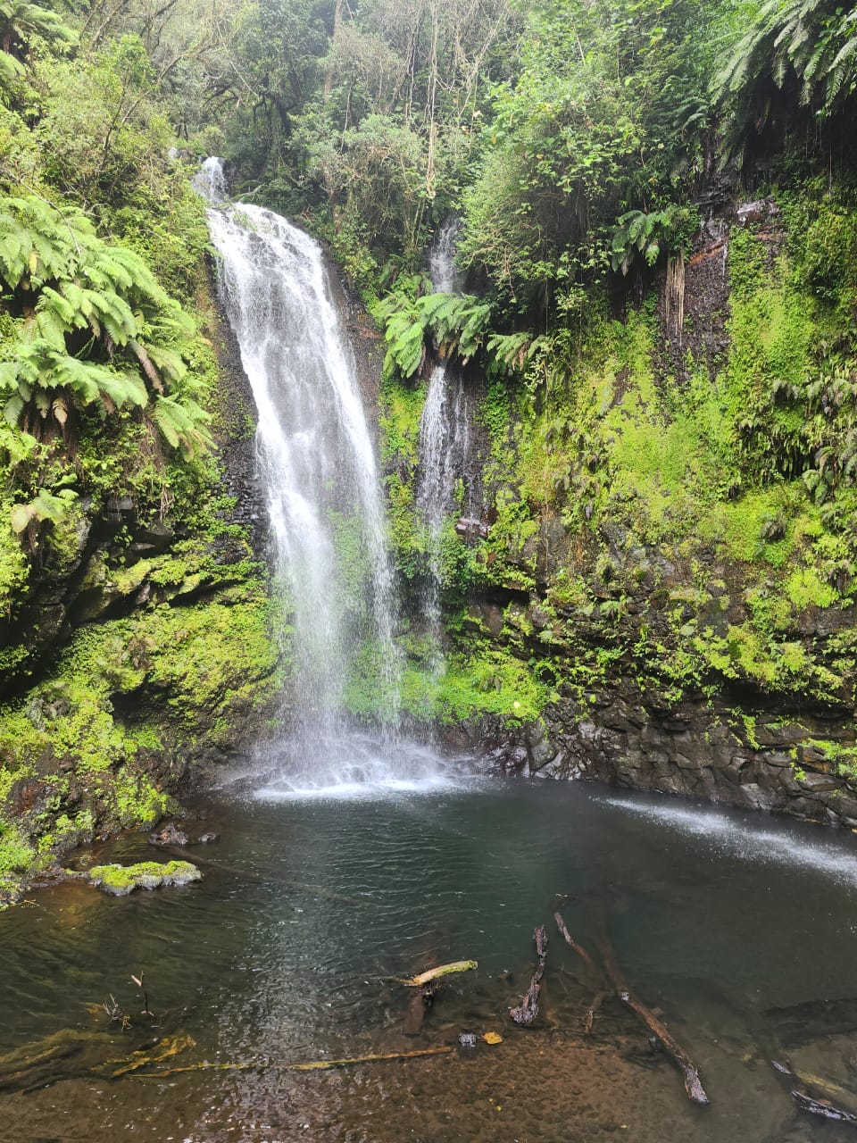 Montagne d'Ambre - Nord de Madagascar
