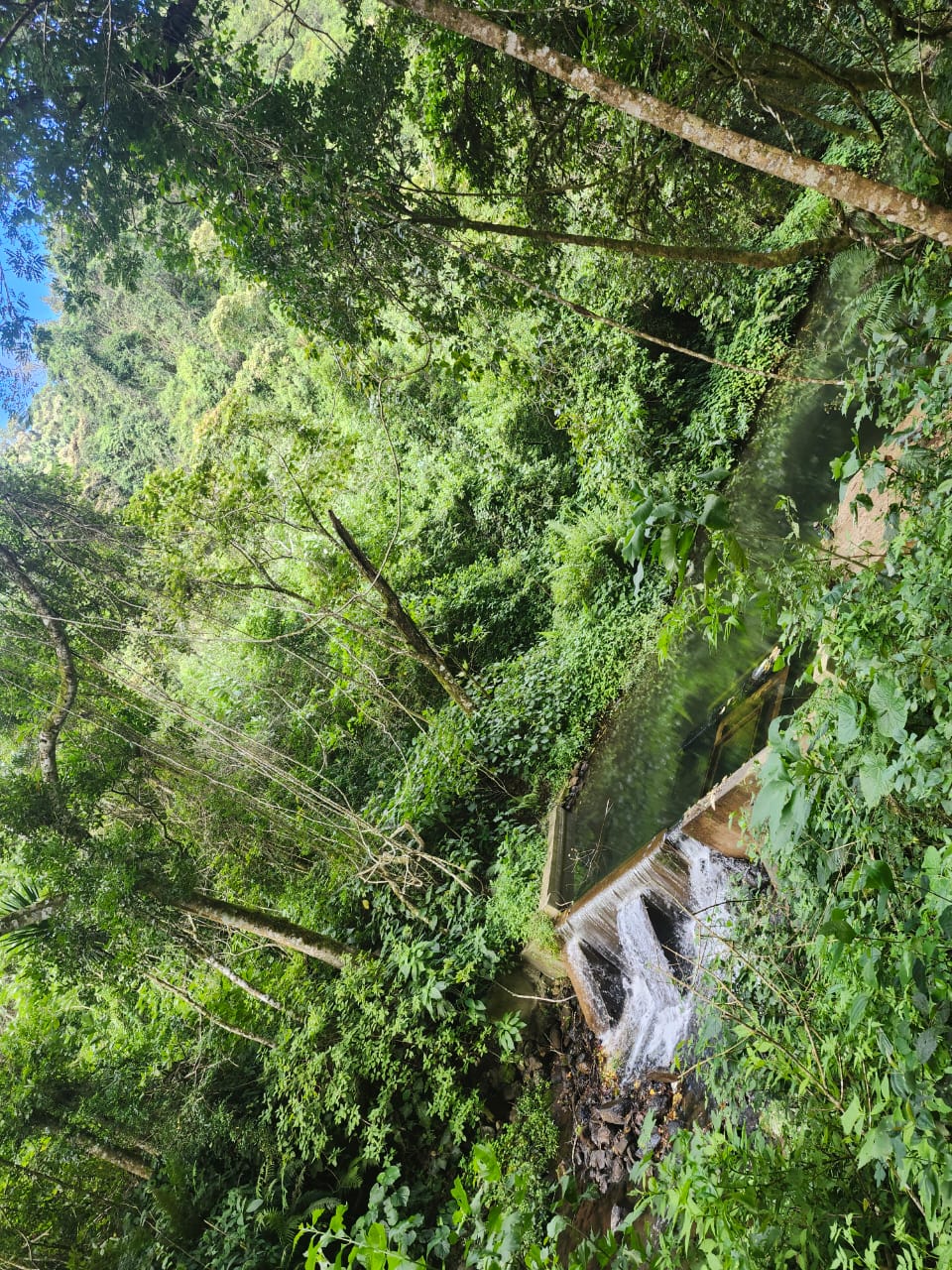 Montagne d'Ambre - Nord de Madagascar