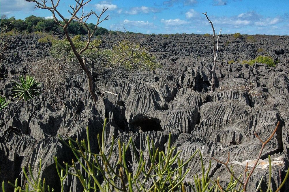 Ankarana - Nord de Madagascar