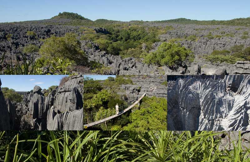 Ankarana - Nord de Madagascar