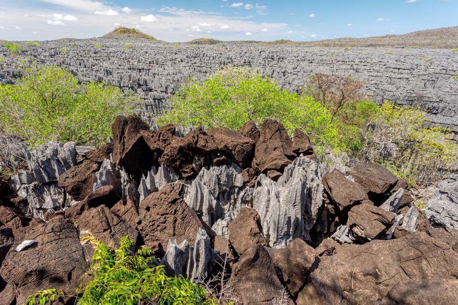 Ankarana - Nord de Madagascar