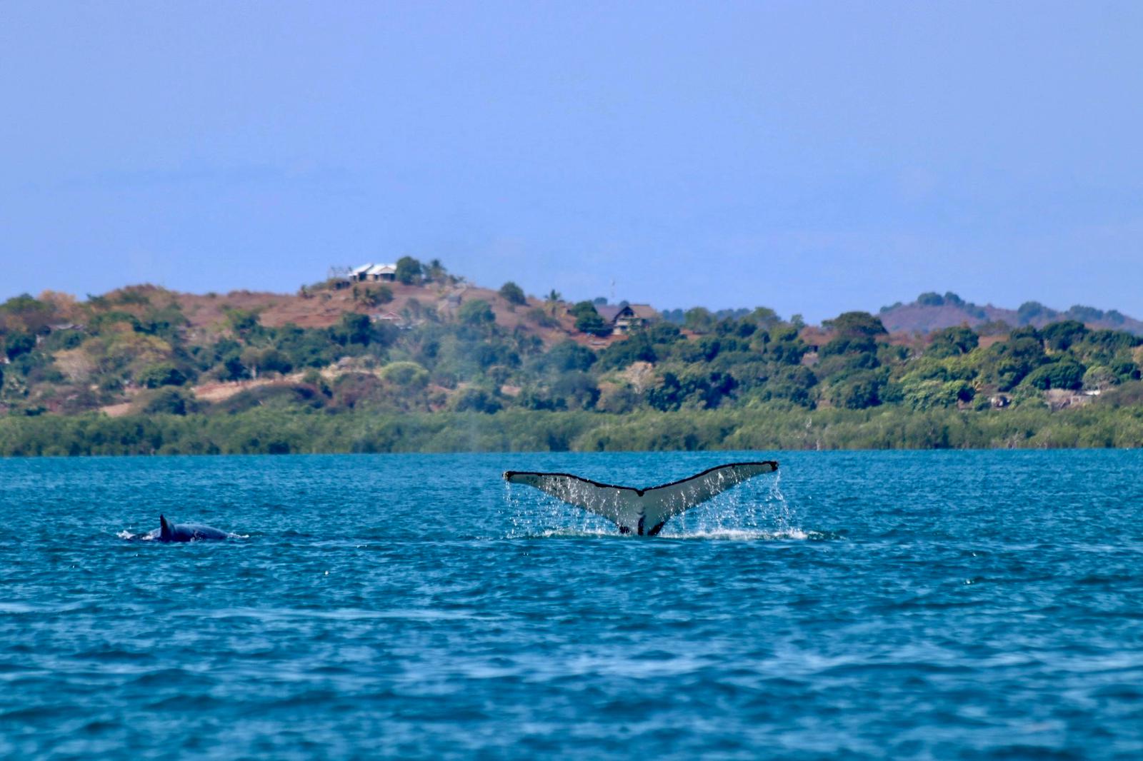 Nosy Be - Nord-Ouest de Madagascar